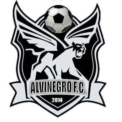 ALVINEGRO FC