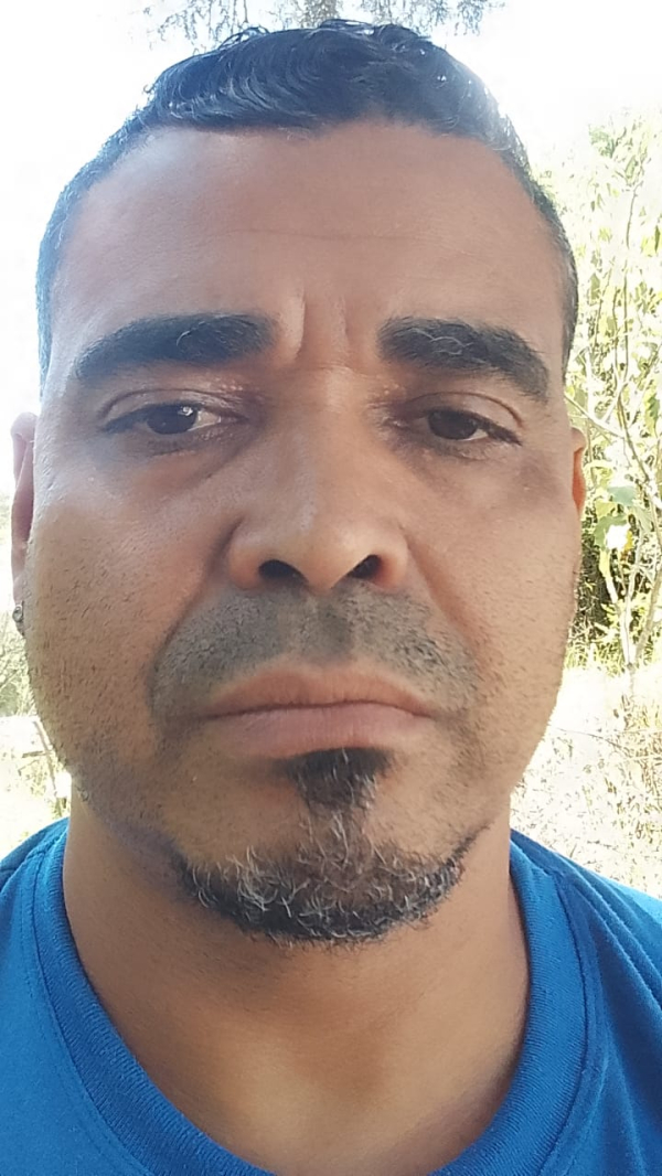 DOGÃO
