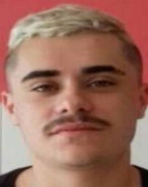bozo