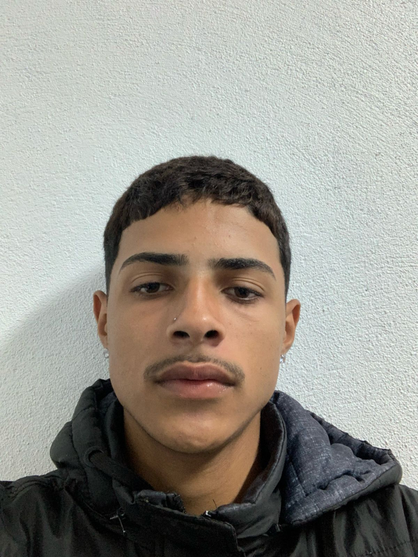 CACHORRO DE RUA