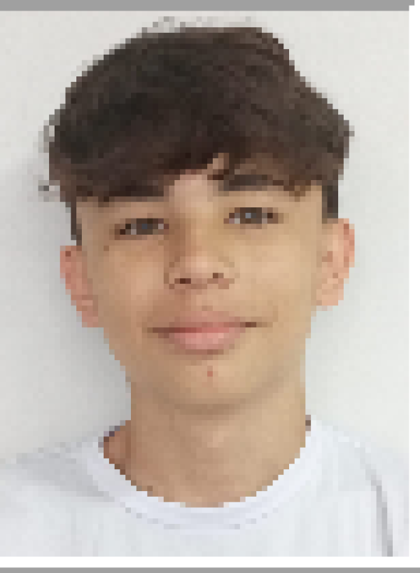 Miguel Tsuyoshi Shigetomi