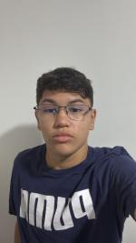 NICOLAS HENRIQUE DOS SANTOS