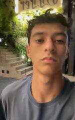 Petrini - Maple Bear 