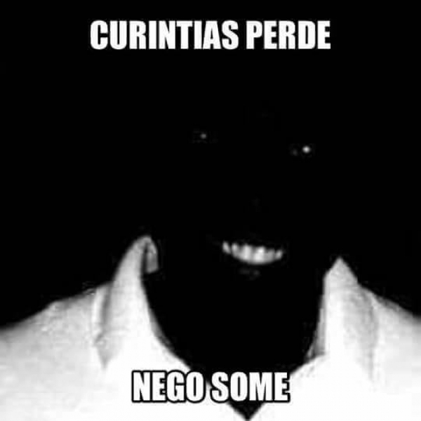 Pinguim