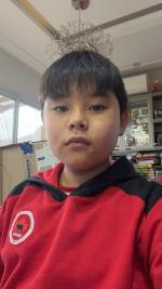 DAVI