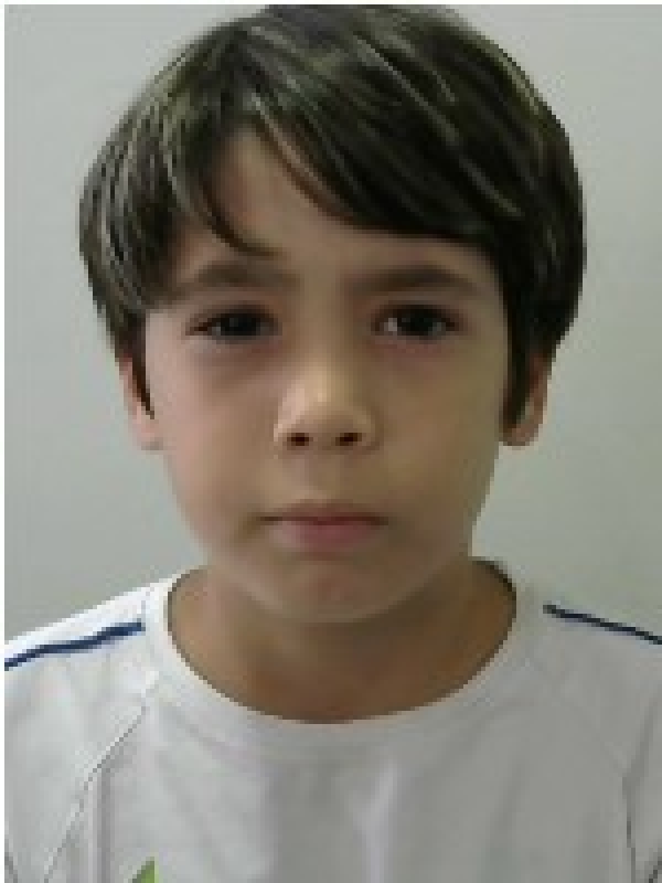 Enzo - Brasilis 