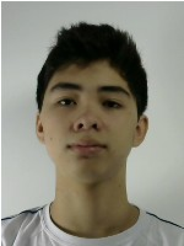 Vinicius - Brasilis 