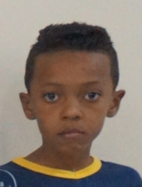Enzo - Ruth Cardoso 