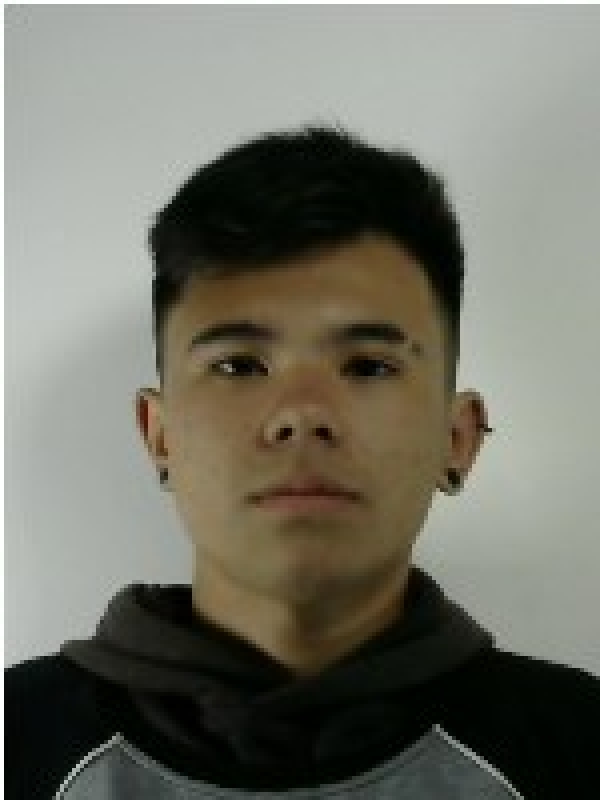 Vitor - Brasilis 