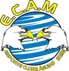 Ecam Brasil